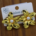 Arete Acero